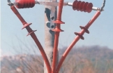 Heatshrink outdoor pole termination