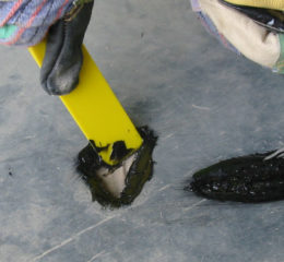 Conveyor belt repair